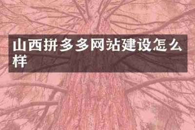 山西拼多多网站建设怎么样