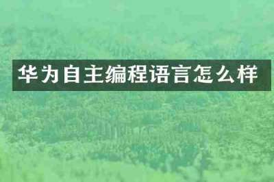 华为自主编程语言怎么样