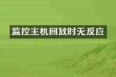 监控主机回放时无反应