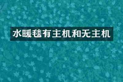 水暖毯有主机和无主机