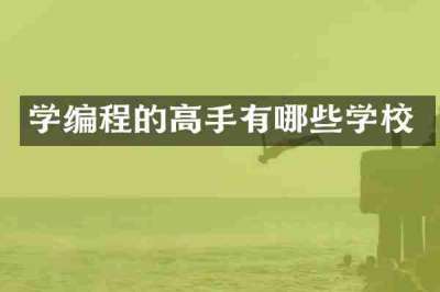 学编程的高手有哪些学校