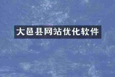大邑县网站优化软件