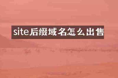 site后缀域名怎么出售