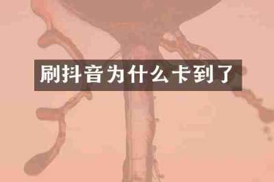 刷抖音为什么卡到了