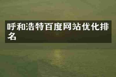 呼和浩特百度网站优化排名