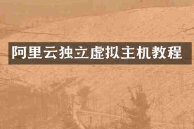阿里云独立虚拟主机教程