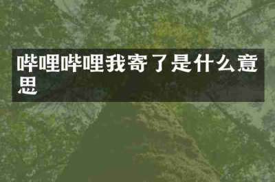 哔哩哔哩我寄了是什么意思
