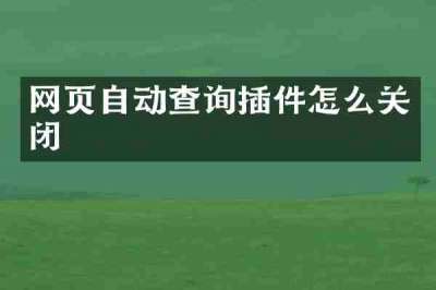 网页自动查询插件怎么关闭