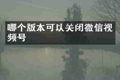 哪个版本可以关闭微信视频号