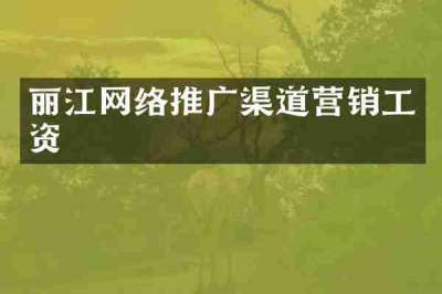 丽江网络推广渠道营销工资