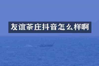 友谊茶庄抖音怎么样啊