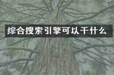 综合搜索引擎可以干什么