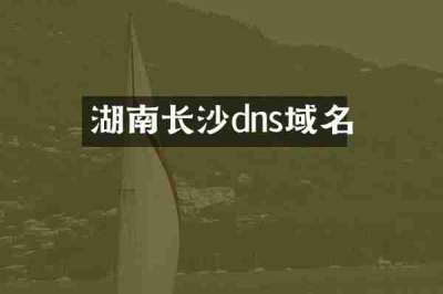 湖南长沙dns域名