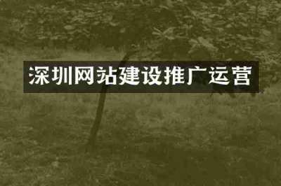 深圳网站建设推广运营