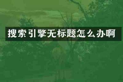 搜索引擎无标题怎么办啊