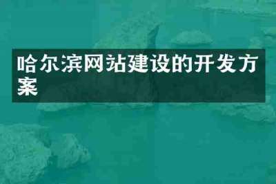 哈尔滨网站建设的开发方案