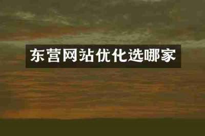 东营网站优化选哪家