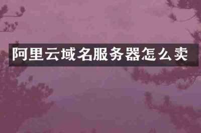 阿里云域名服务器怎么卖