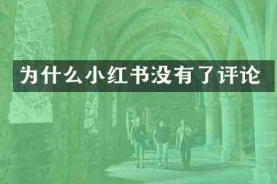 为什么小红书没有了评论