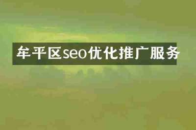 牟平区seo优化推广服务