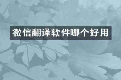 微信翻译软件哪个好用