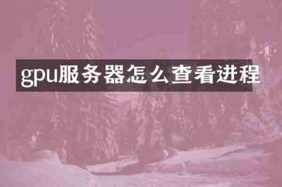 gpu服务器怎么查看进程