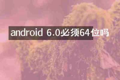 android 6.0必须64位吗
