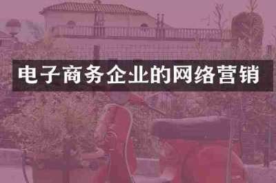 电子商务企业的网络营销
