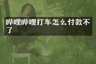 哔哩哔哩打车怎么付款不了