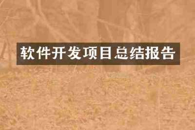 软件开发项目总结报告