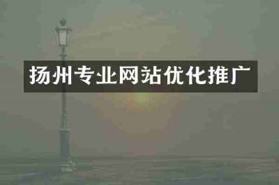 扬州专业网站优化推广
