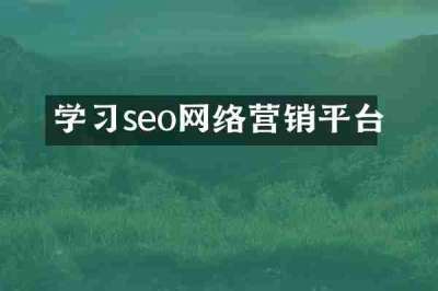 学习seo网络营销平台