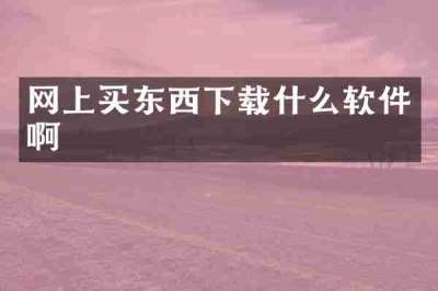 网上买东西下载什么软件啊