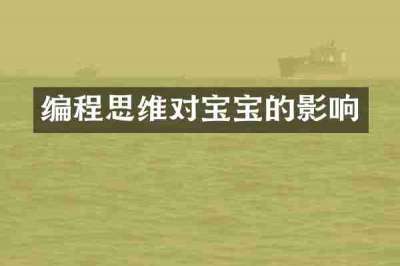 编程思维对宝宝的影响