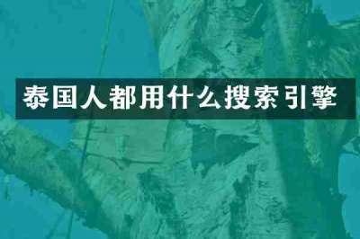 泰国人都用什么搜索引擎