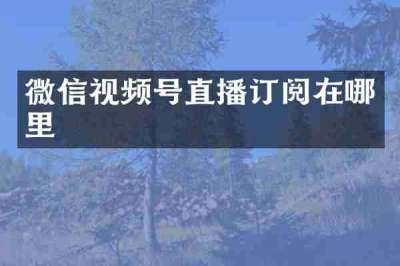微信视频号直播订阅在哪里