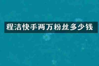 程洁快手两万粉丝多少钱