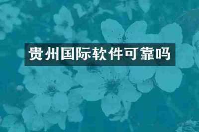 贵州国际软件可靠吗