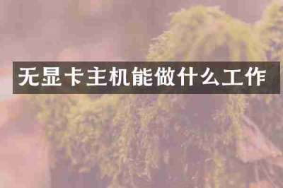 无显卡主机能做什么工作