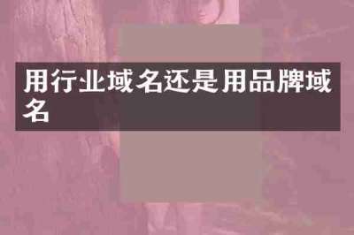 用行业域名还是用品牌域名