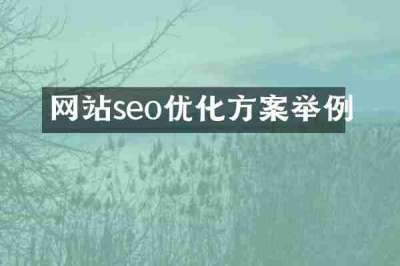 网站seo优化方案举例