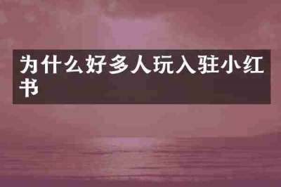 为什么好多人玩入驻小红书