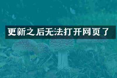更新之后无法打开网页了