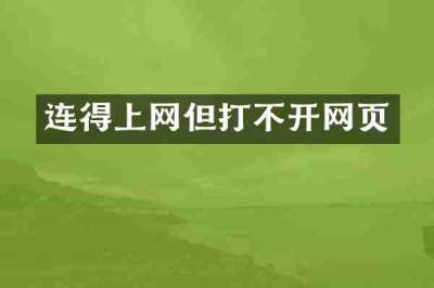 连得上网但打不开网页
