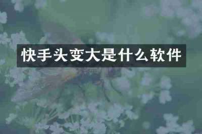 快手头变大是什么软件