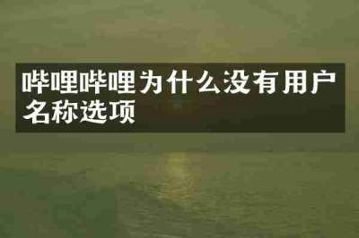 哔哩哔哩为什么没有用户名称选项