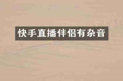 快手直播伴侣有杂音