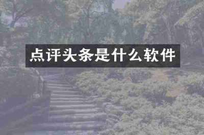 点评头条是什么软件