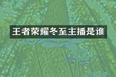 王者荣耀冬至主播是谁