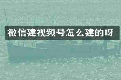 微信建视频号怎么建的呀